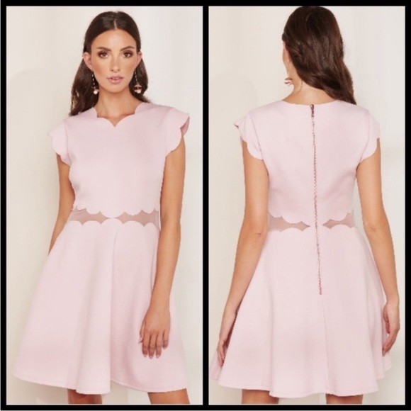 Ted Baker Omarria
Scallop and Mesh Pink
Skater Dress Size 3 US 8 NWOT - Picture 1 of 16